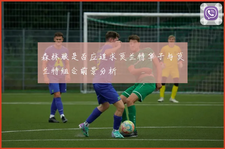 森林狼是否应追求莫兰特华子与莫兰特组合前景分析