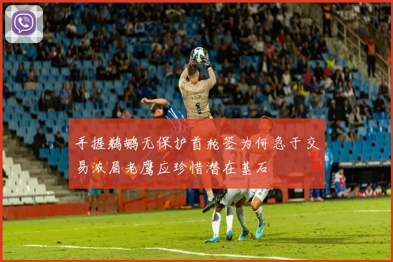 手握鹈鹕无保护首轮签为何急于交易浓眉老鹰应珍惜潜在基石