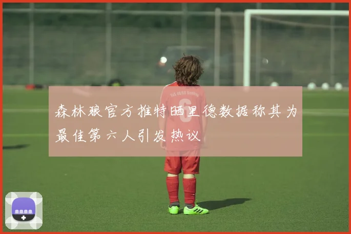森林狼官方推特晒里德数据称其为最佳第六人引发热议