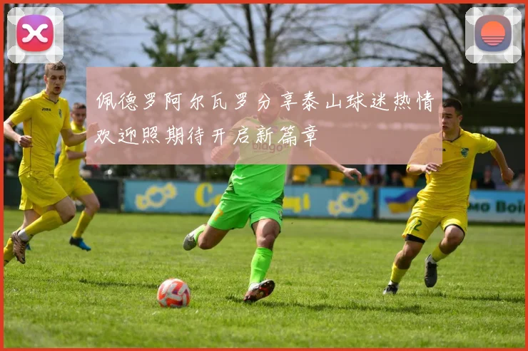 佩德罗阿尔瓦罗分享泰山球迷热情欢迎照期待开启新篇章