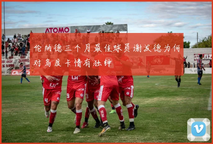 伦纳德三个月最佳球员谢泼德为何对乌度卡情有独钟